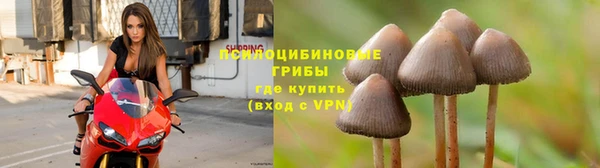 МДПВ Покровск