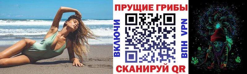 что такое наркотик  Краснообск  Псилоцибиновые грибы Magic Shrooms 